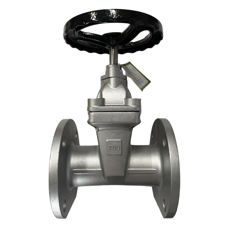 Stainless Steel Flanged Gate Valve